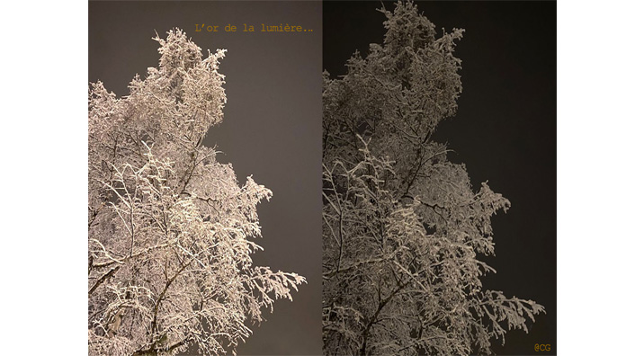 Positif/ Négatif - Noir et Blanc....